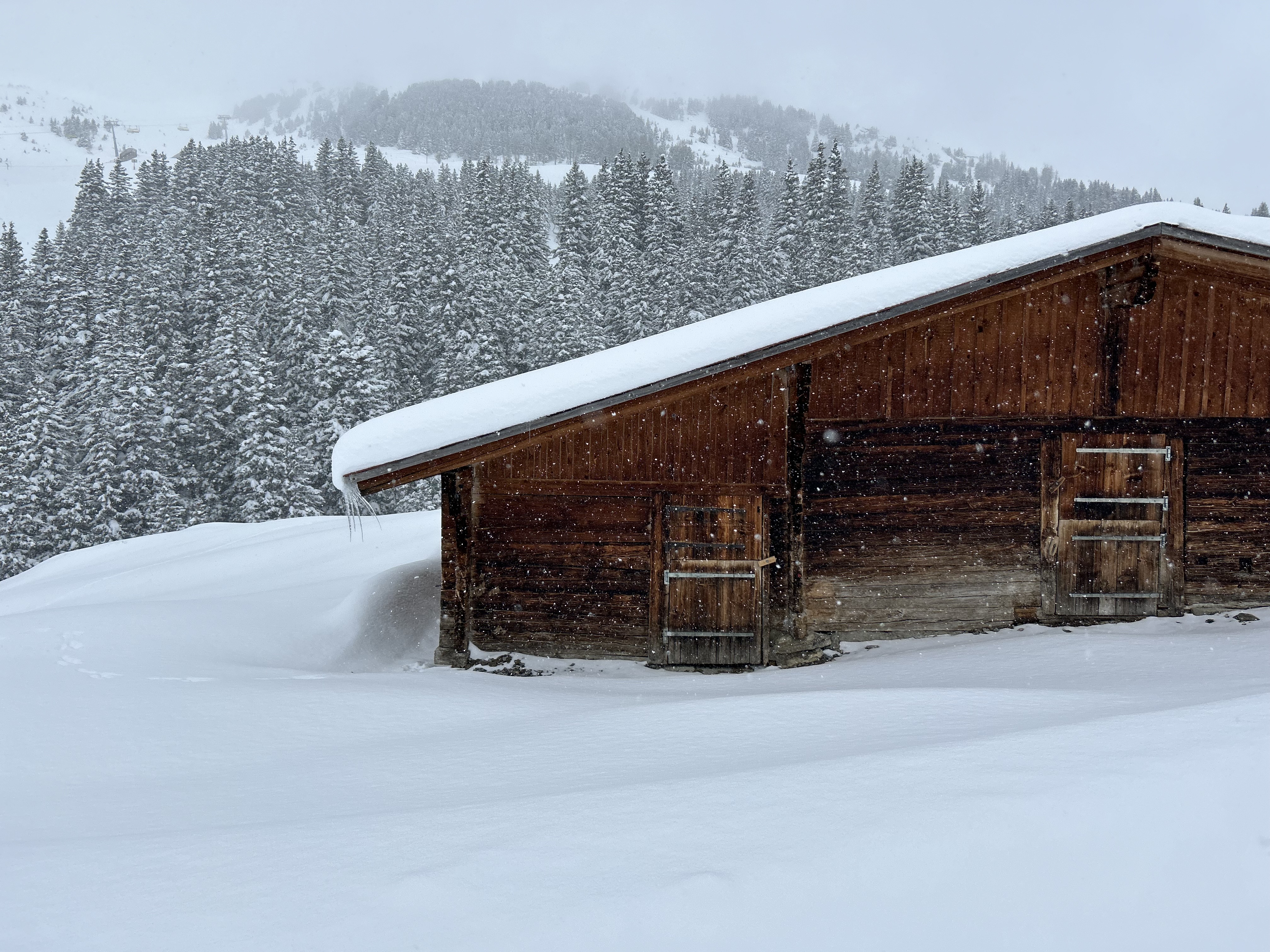 Kleine Scheidegg, Switzerland