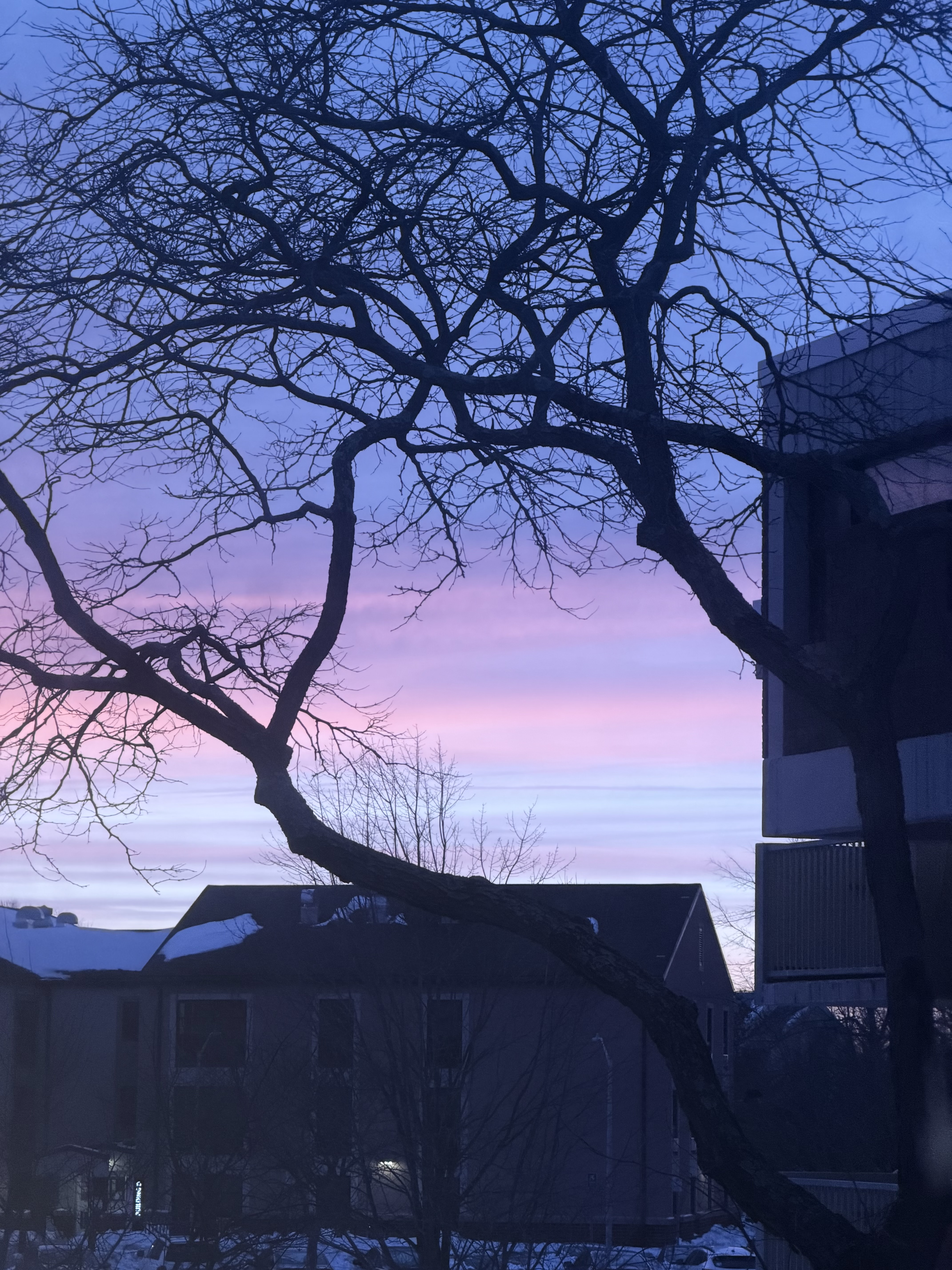 Stony Brook, NY